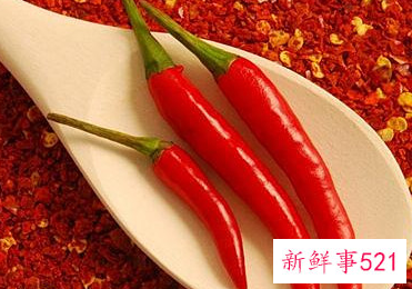 辣椒育苗方法步骤