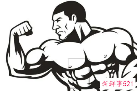 制定你的健美训练计划健身