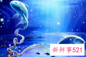 双鱼座适合养什么宠物