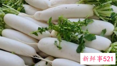 常见蔬菜有多少种