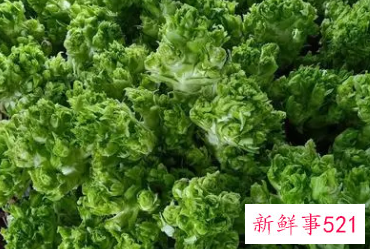 儿菜有什么样的功效与作用