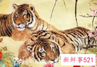 关于虎年的新春寄语