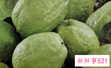 番石榴放冰箱保鲜可以吗