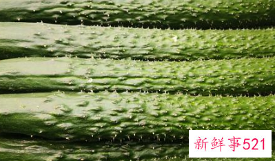 常见蔬菜有多少种