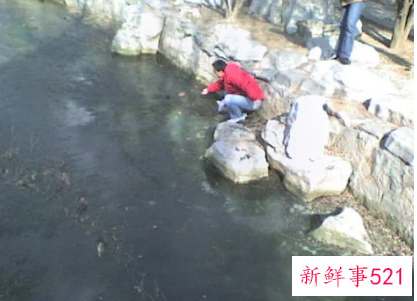 梦见掉臭水沟里