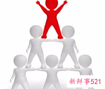 作为团队领导者具备哪些素质