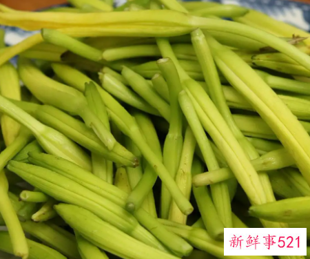 孕妇禁止吃的全部蔬菜