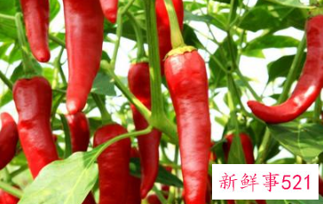 常见蔬菜有多少种