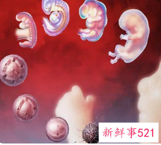 孕12周胎儿需要注意什么