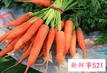 女人吃胡萝卜是不是不好