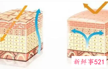 皮肤受损角质层薄怎么修复