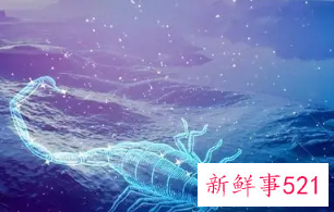 最会运筹帷幄的星座