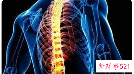 真的别再伤害你的脊椎了