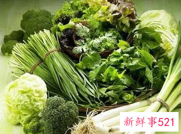 哪种青菜含维生素最高