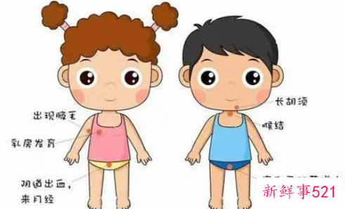 男孩和女孩身体发育的不同之处