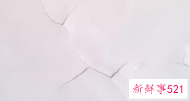 墙体潮湿发霉怎么处理方法