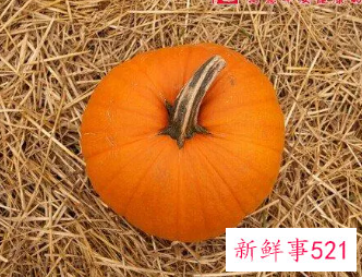 梦见偷南瓜的寓意