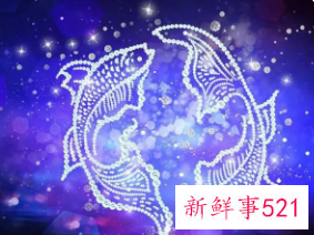 双鱼座适合养什么宠物