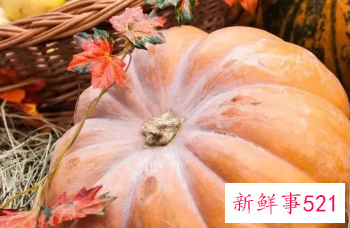 对肠胃好的食物有哪些零食