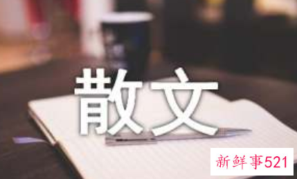 陪伴是最长久的告白抒情散文