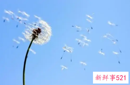 彻底下定决心分手的句子