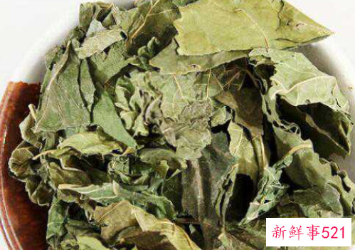 桑叶茶的功能有什么