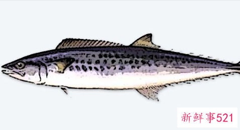 带鱼怎么存放保鲜