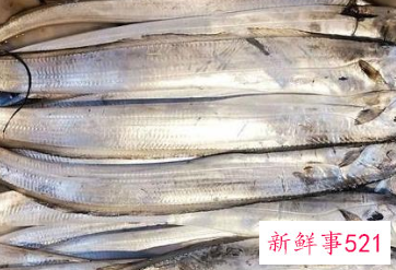 带鱼怎么存放保鲜