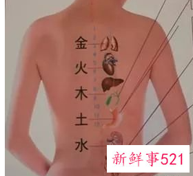 背部经络图6条的走向