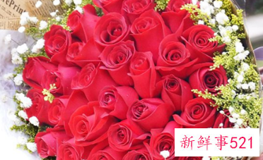 自己过生日送母亲什么花