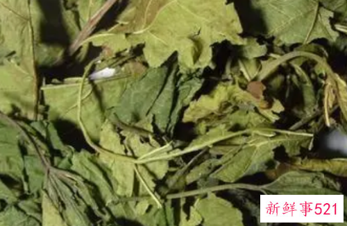 桑叶茶的功能有什么