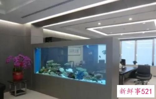 办公室鱼缸摆放什么位置