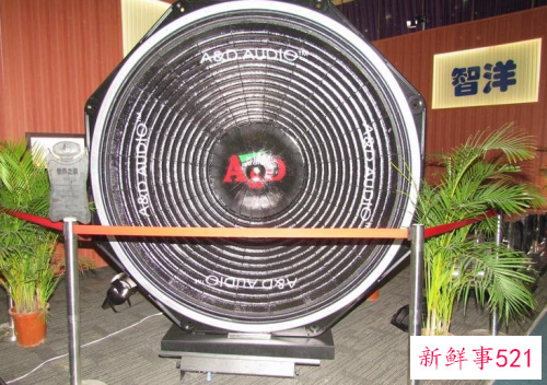 世界上最大的低音喇叭