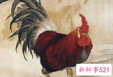 属鸡女的撩汉秘笈