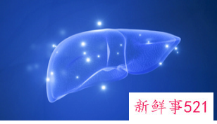 护肝养肝的调理方法