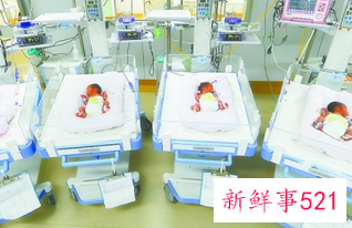 早产新生儿住保温箱可以报销吗