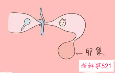 长期避孕的方法最好的选择