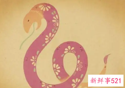 蛇男兔女两生肖合不合