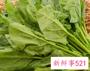 油麦菜的功效与作用及营养价值