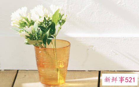 什么是团队精神呢