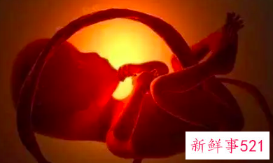 怀孕9个多月胎死腹中的征兆