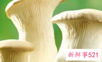 杏鲍菇的营养价值及禁忌