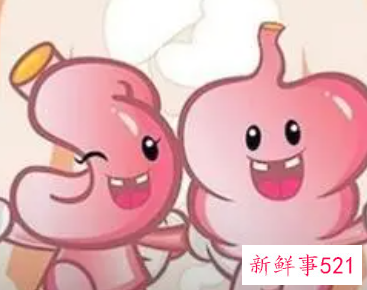 养脾胃最有效的方法