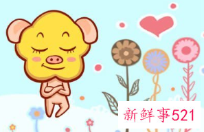 属猪的人命好吗