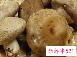 天天吃蘑菇对人有没有坏处