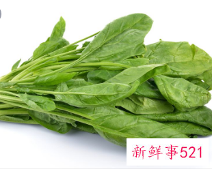 油麦菜的功效与作用及营养价值