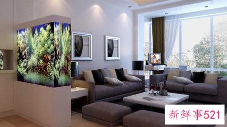 客厅带动家居运气