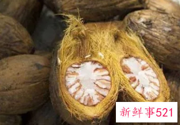 关于吃槟榔有什么好处