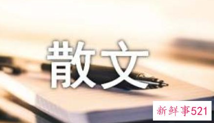 陪伴是最长久的告白抒情散文