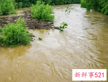 女人梦见很大的河水是什么意思